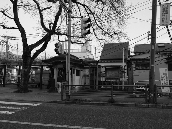 f0238991_0151748.jpg