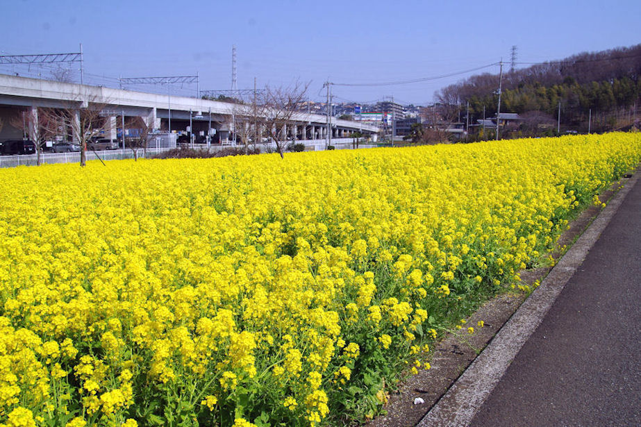 c0061695_9224487.jpg