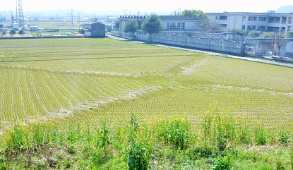 e0077899_913484.jpg