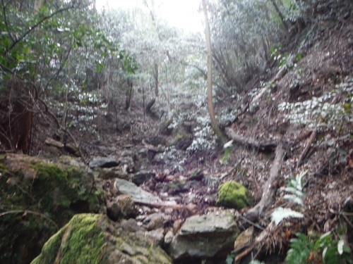 b0326303_14093944.jpg