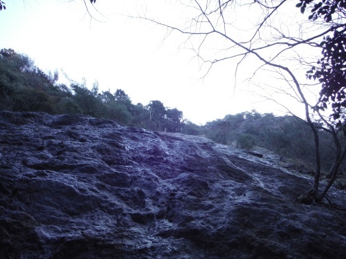 b0326303_14095577.jpg