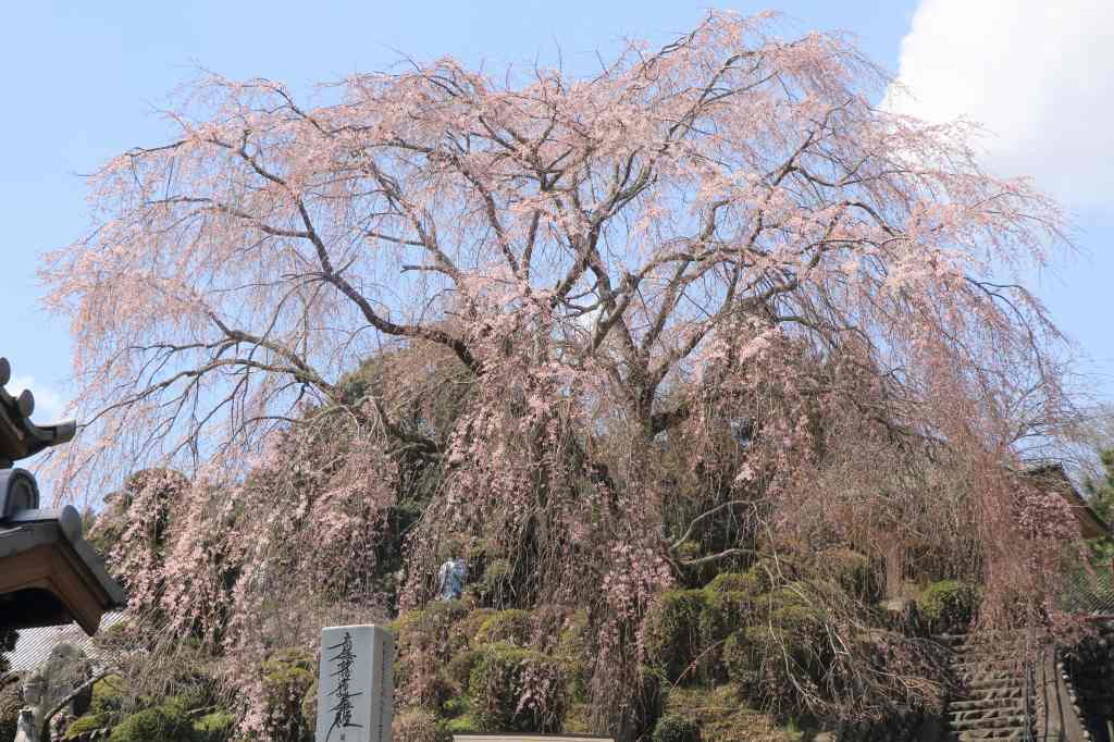 a0188405_21473043.jpg