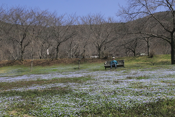 a0251508_913763.jpg