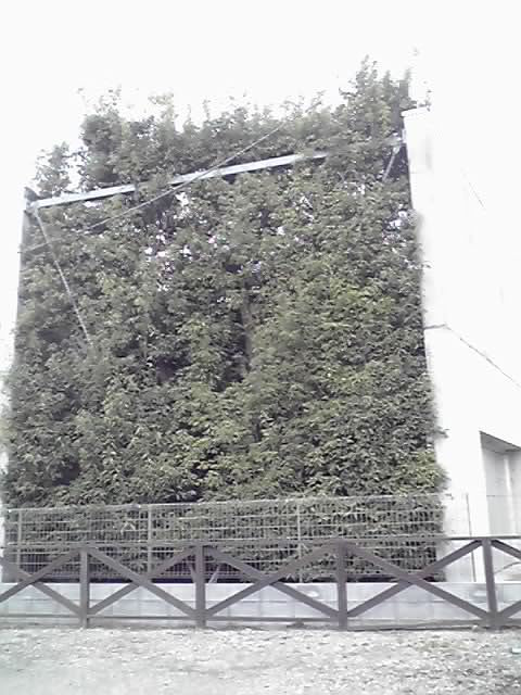 a0112812_2345382.jpg