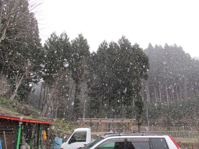 f0341616_18363537.jpg
