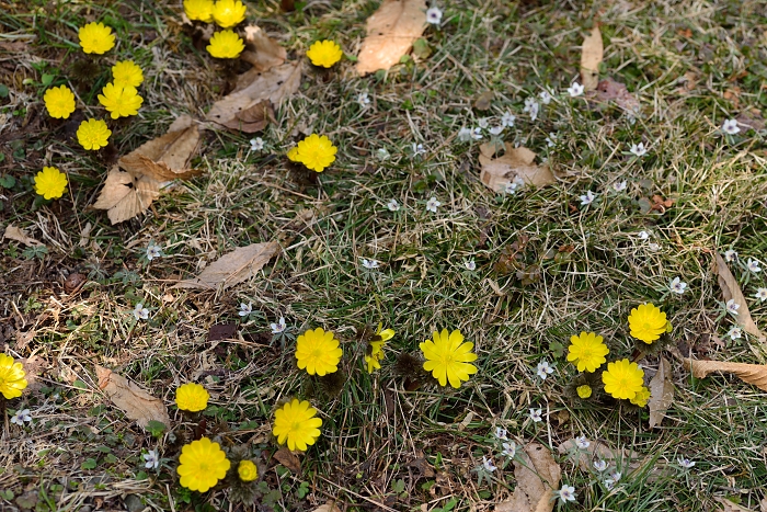 b0236334_20565468.jpg