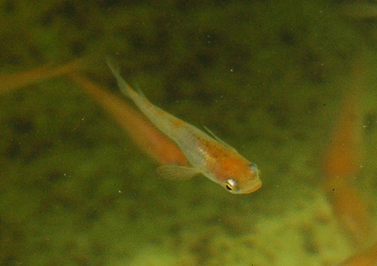 e0097534_9372548.jpg