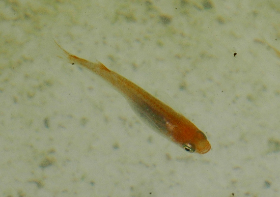 e0097534_938169.jpg