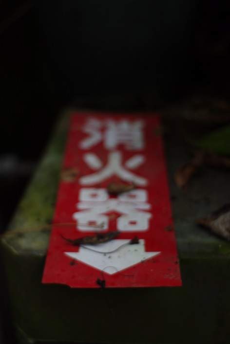 d0165741_1533354.jpg