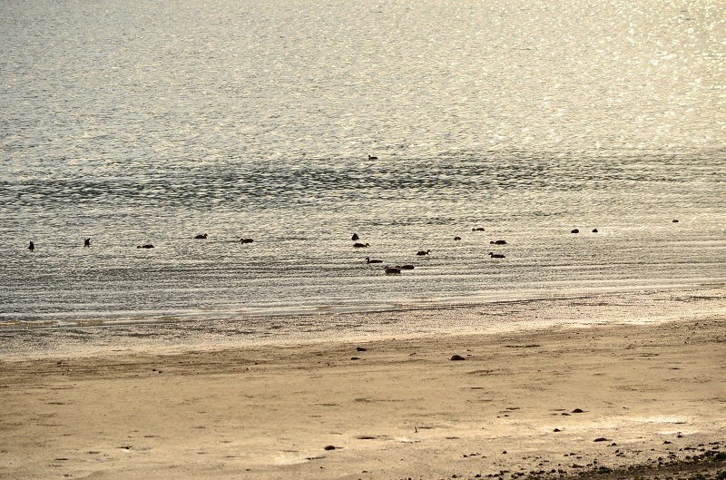 b0288942_20173762.jpg