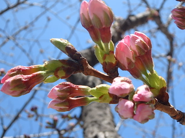 f0334143_21385818.jpg