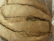 a0157047_8171278.jpg