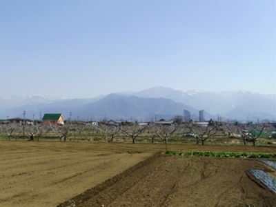 b0220251_152783.jpg