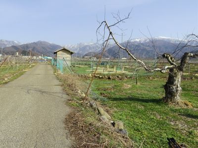 b0220251_15342013.jpg