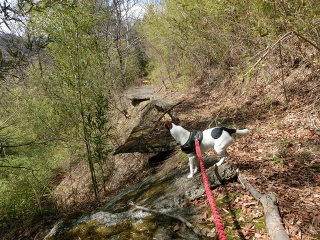 c0140260_22504456.jpg