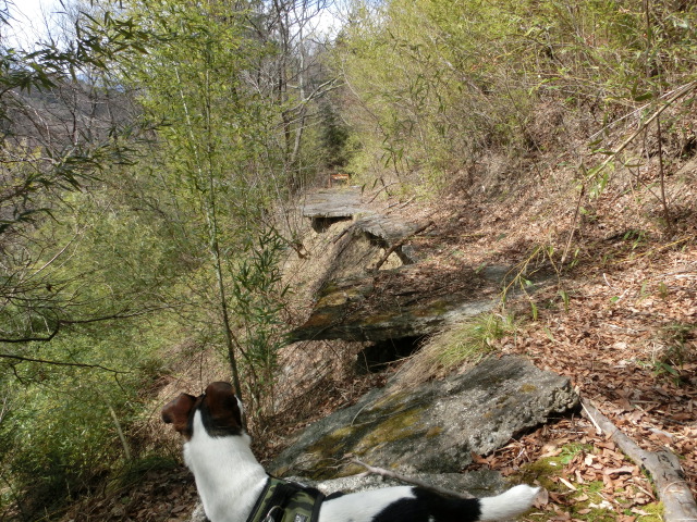 c0140260_2250728.jpg