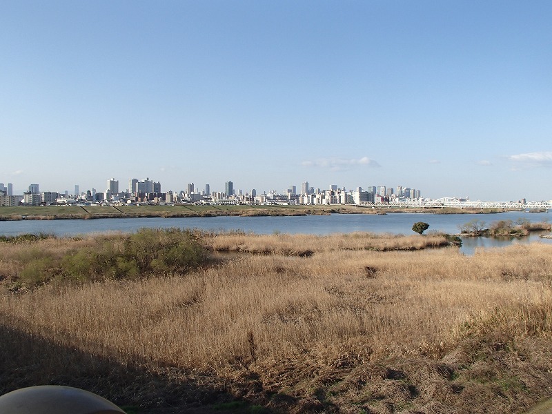 b0044663_1352460.jpg