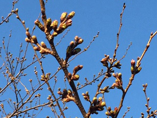 b0059664_844304.jpg