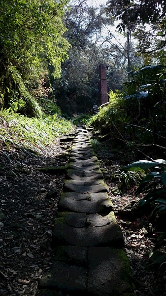 e0225164_652428.jpg