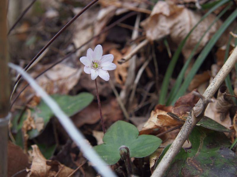 c0321967_20185078.jpg