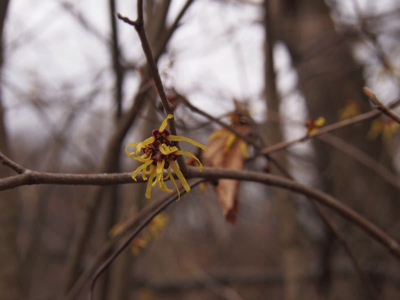 c0321967_20192458.jpg