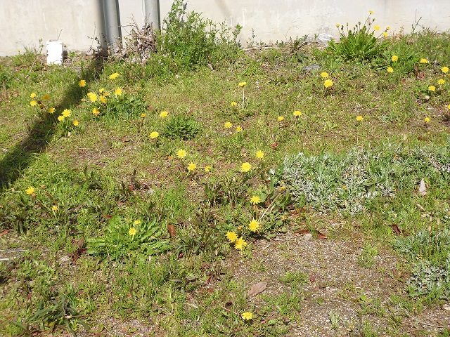 d0083472_11463139.jpg