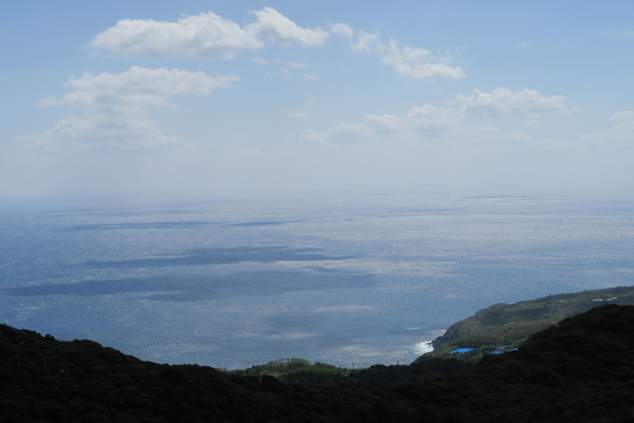 e0292172_2030222.jpg