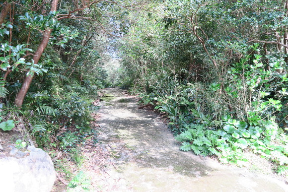 e0292172_20361511.jpg