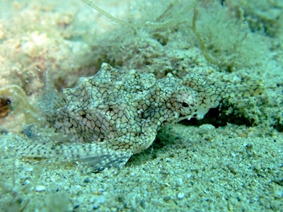 b0033573_20422115.jpg