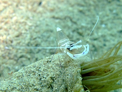 b0033573_20422846.jpg