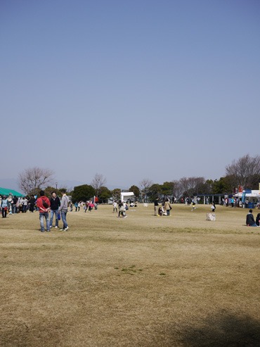 b0086273_11403766.jpg