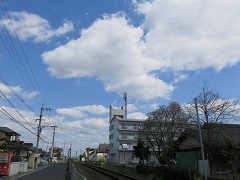 e0130185_12241899.jpg