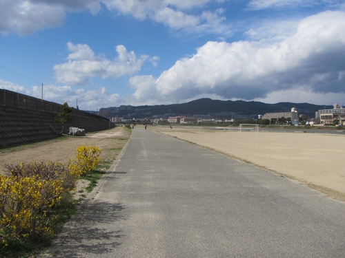 a0251786_2056214.jpg