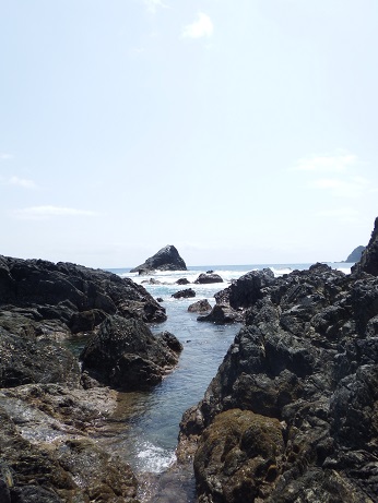 d0170586_924263.jpg
