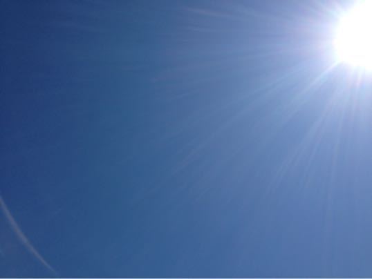 f0298891_1243277.jpg