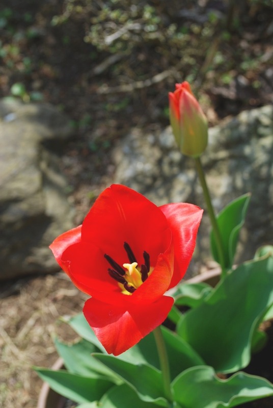 e0025300_13293611.jpg