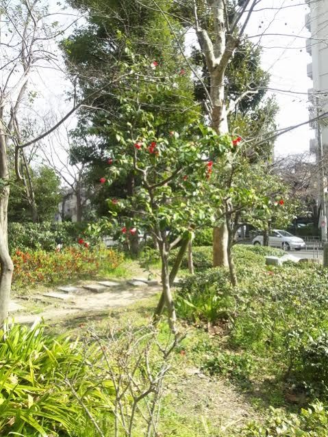 a0335303_20125735.jpg