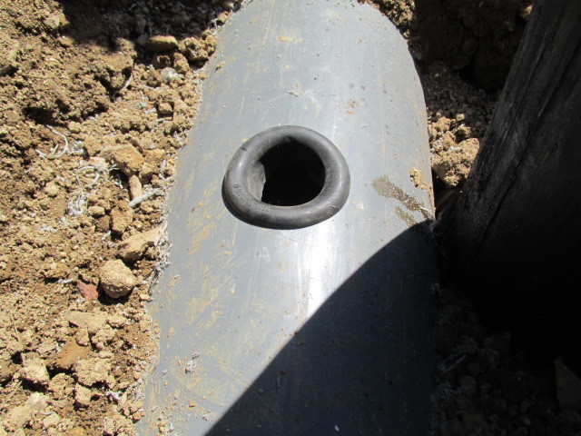 f0341616_19534224.jpg