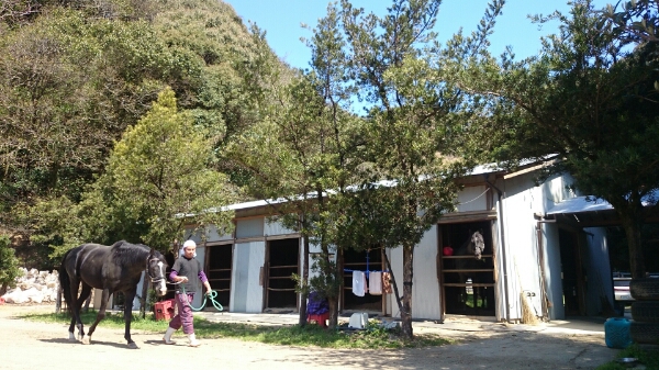 b0187620_21251724.jpg