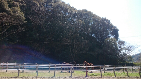 b0187620_21255320.jpg