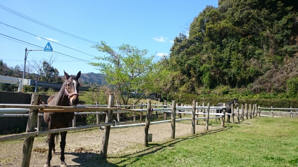 b0187620_21261853.jpg
