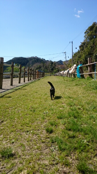 b0187620_21274757.jpg
