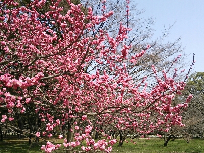b0080027_23315161.jpg