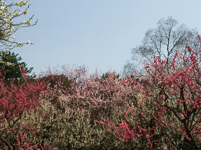 b0080027_23321535.jpg