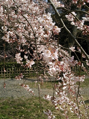 b0080027_2332429.jpg