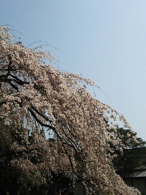 b0080027_23325547.jpg