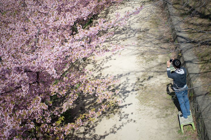 b0134829_21555932.jpg