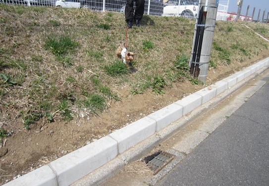 f0002833_17401124.jpg