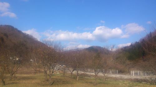 c0300035_17534054.jpg
