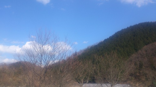 c0300035_17535473.jpg